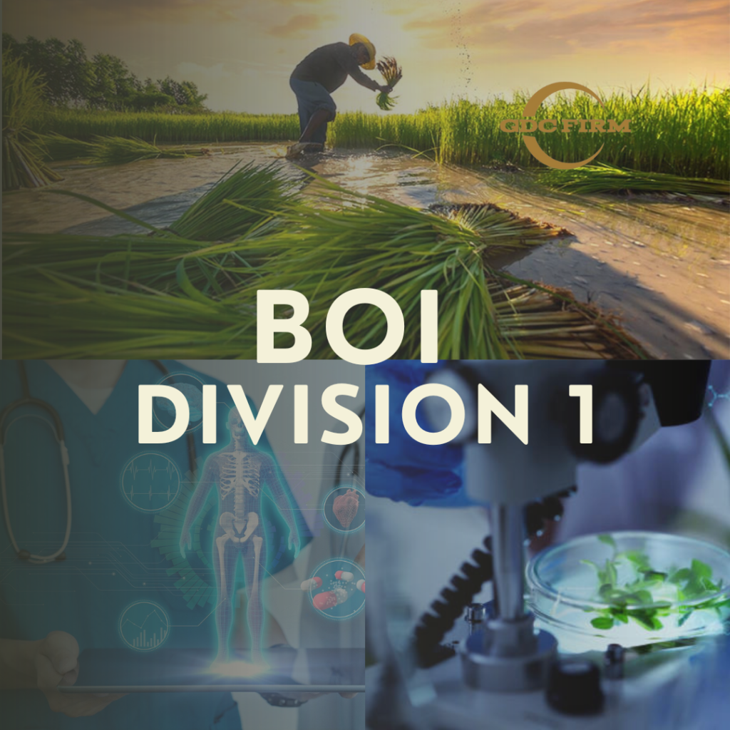 BOI Division